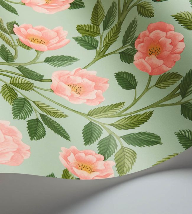 Hampton Roses Wallpaper - Rose & Leaf Green on Duck Egg - 118/7014