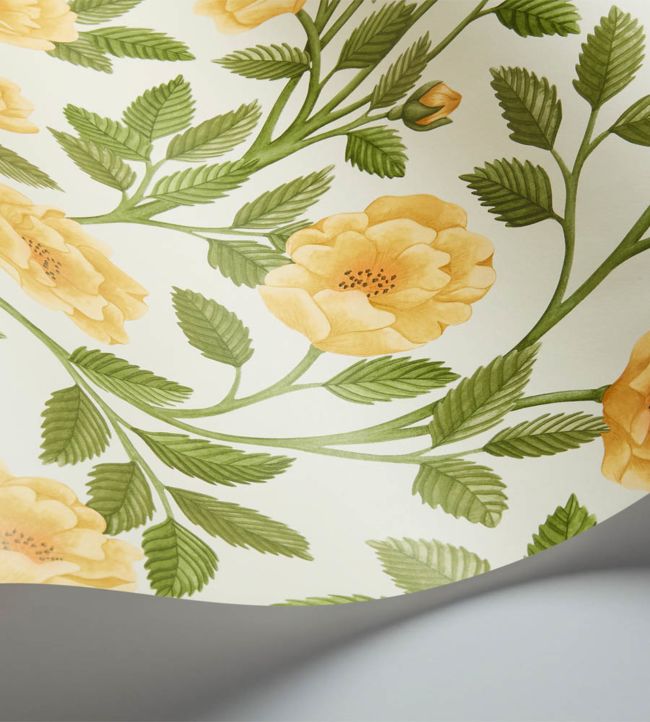 Hampton Roses Wallpaper - Marigold & Olive Green on White - 118/7015
