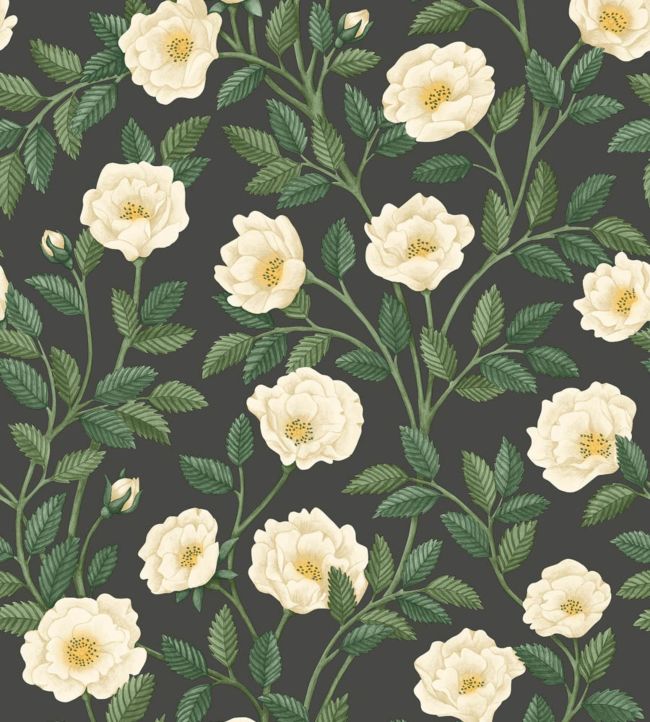 Hampton Roses Wallpaper - Cream & Forest Green on Charcoal - 118/7016