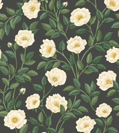 Hampton Roses Wallpaper - Cream & Forest Green on Charcoal - 118/7016