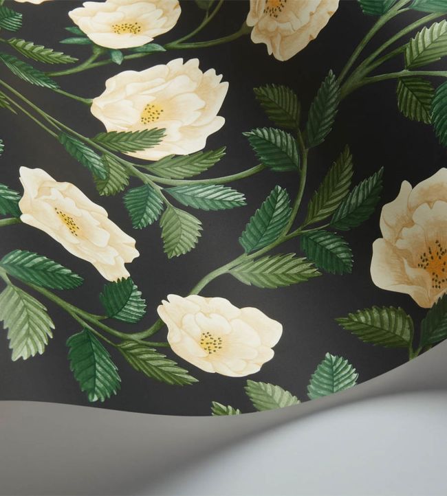 Hampton Roses Wallpaper - Cream & Forest Green on Charcoal - 118/7016