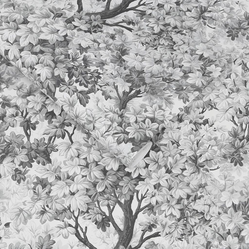 119661 - Coppice Wallpaper - Mono - Graham & Brown