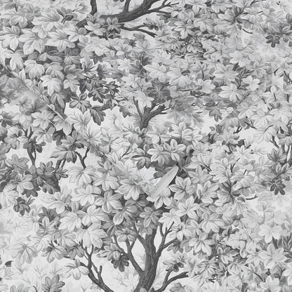 119661 - Coppice Wallpaper - Mono - Graham & Brown