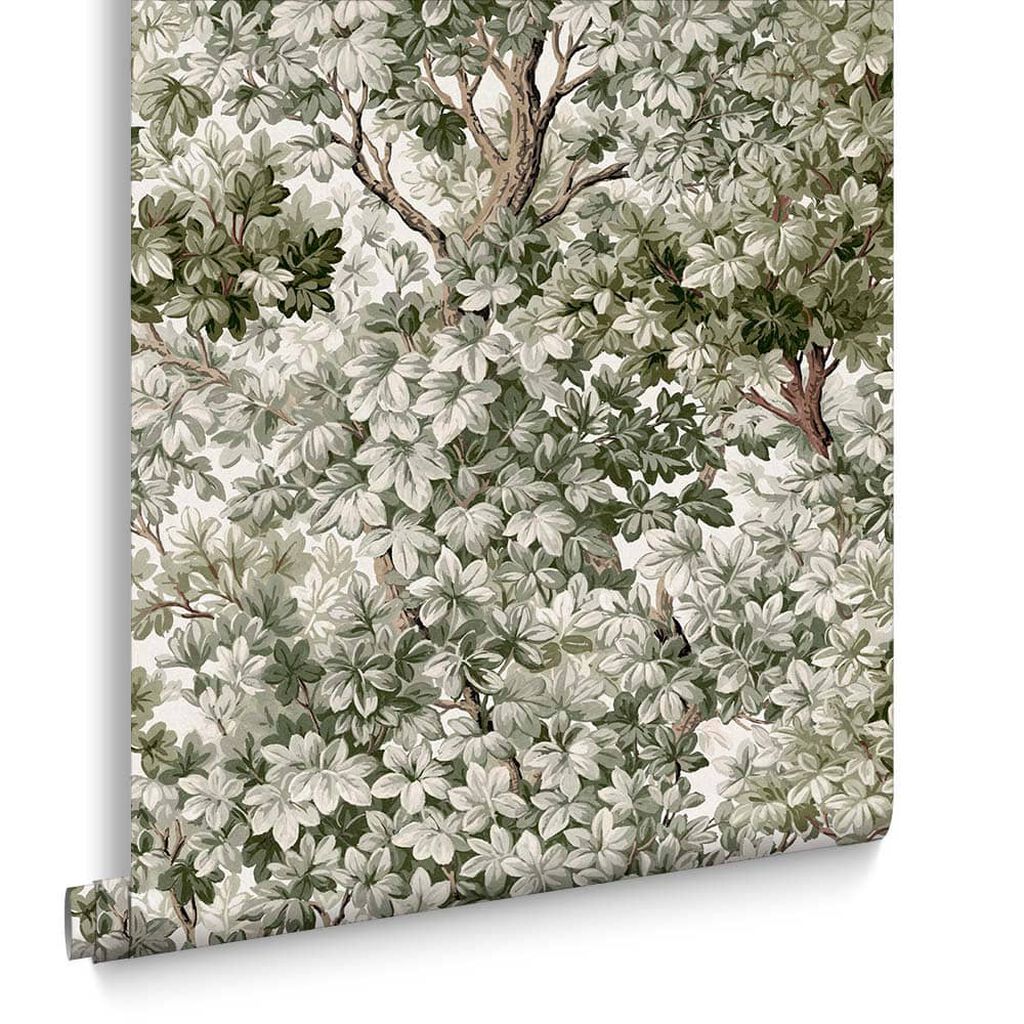 119662 - Coppice Wallpaper - Sage - Graham & Brown