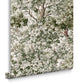 119662 - Coppice Wallpaper - Sage - Graham & Brown