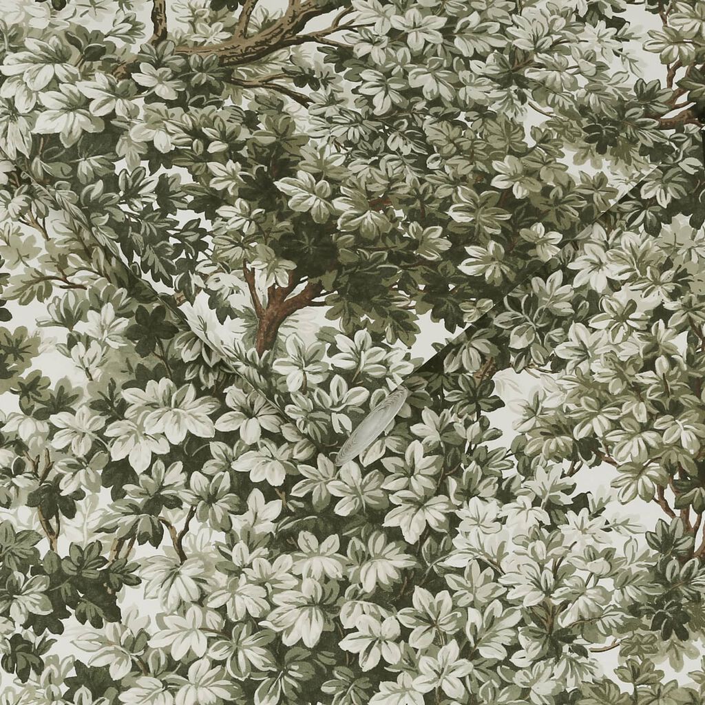 119662 - Coppice Wallpaper - Sage - Graham & Brown