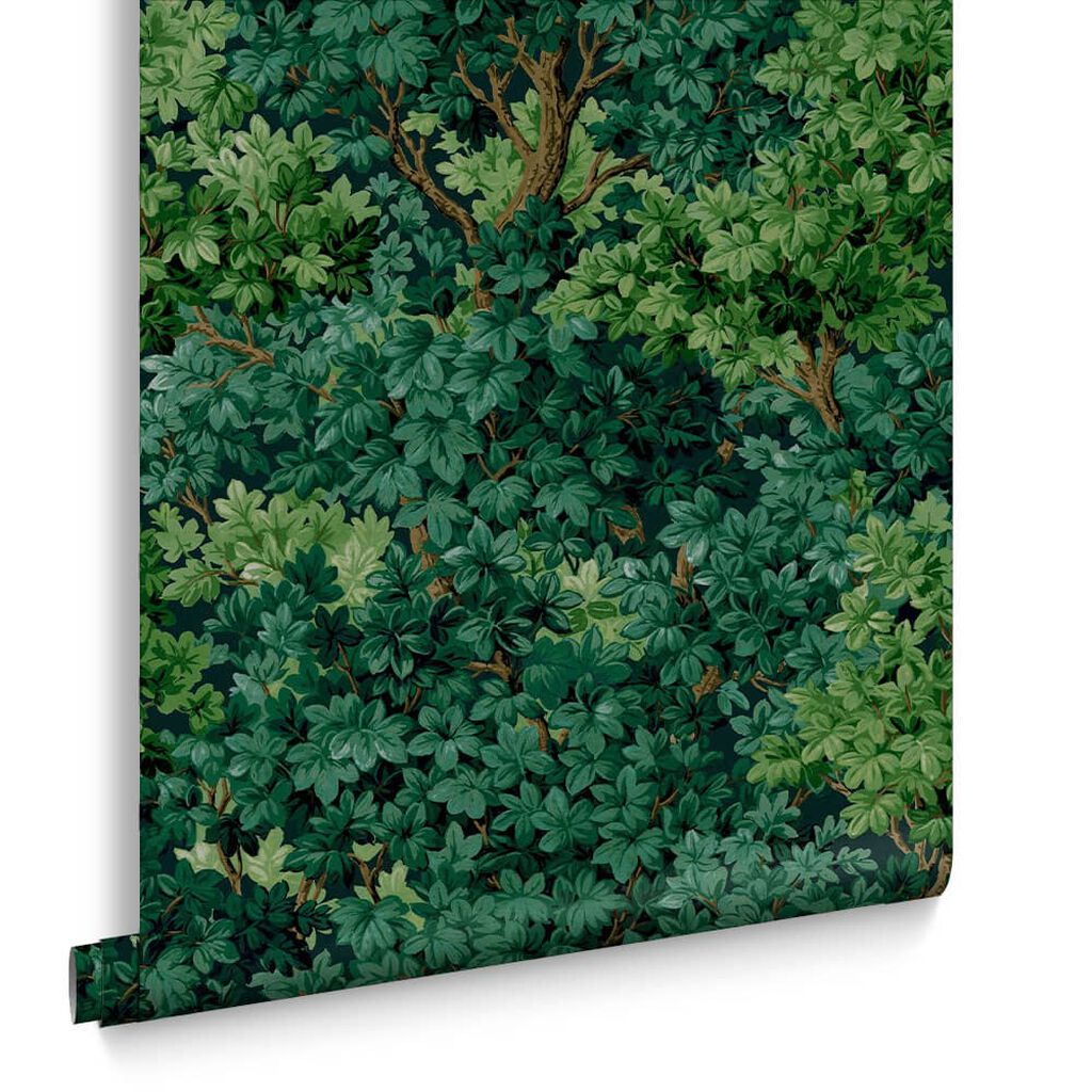 119663 - Coppice Wallpaper - Forest - Graham & Brown