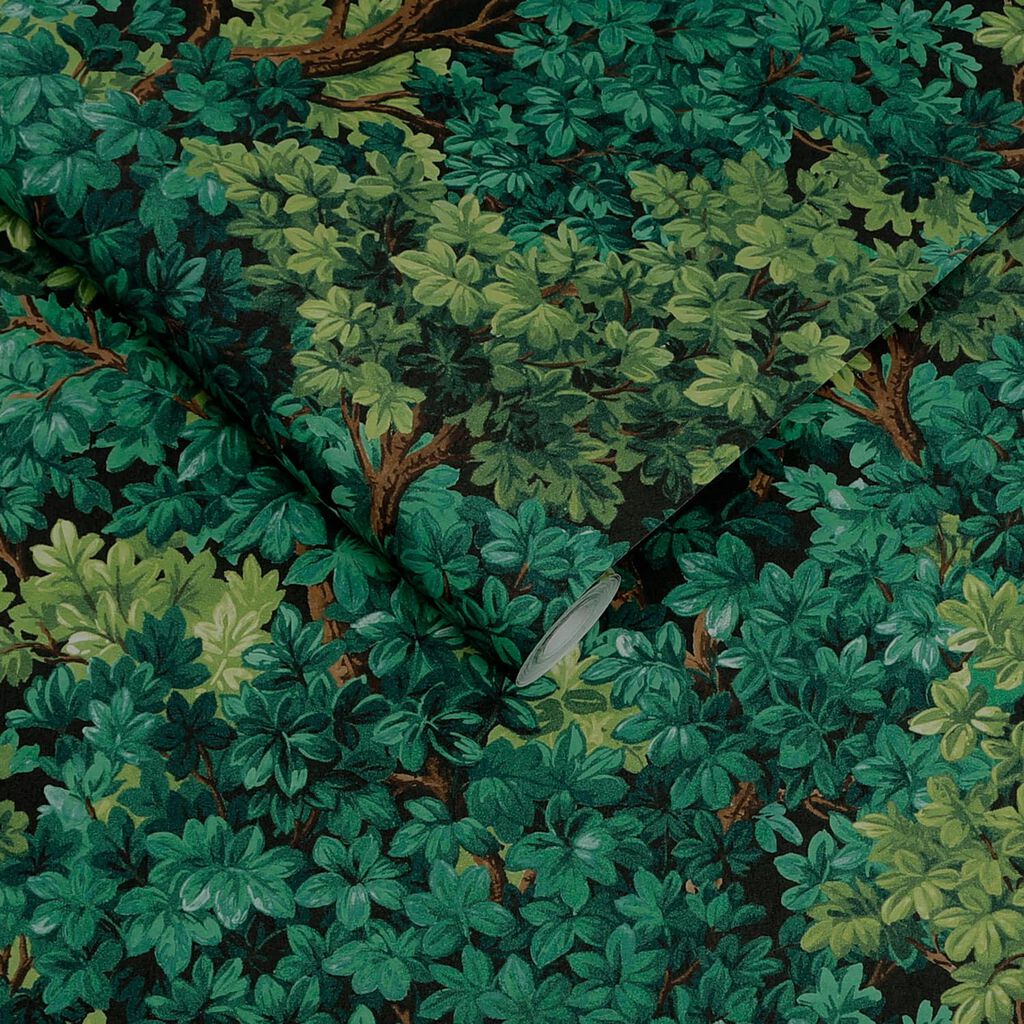 119663 - Coppice Wallpaper - Forest - Graham & Brown