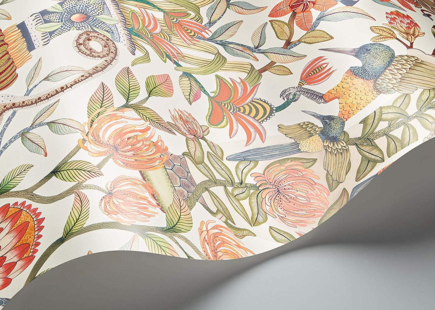 Protea Garden Wallpaper - Olive Green & Tangerine on White - 119/10043