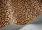 Savanna Shell Wallpaper - Ochre, Soot & Orange - 119/4019
