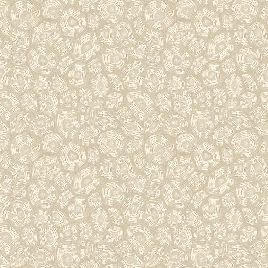 Savanna Shell Wallpaper - Parchment, Linen & Metallic Gilver - 119/4021