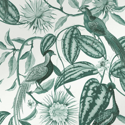 120650 - Amhersts Garden Wallpaper - Teal - Graham & Brown