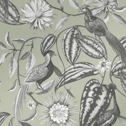 120651 - Amhersts Garden Wallpaper - Sage - Graham & Brown