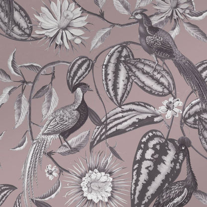 120653 - Amhersts Garden Wallpaper - Mulberry - Graham & Brown