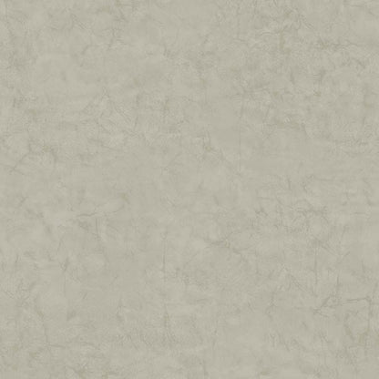 121325 - Veneziano Wallpaper - Concrete - Graham & Brown