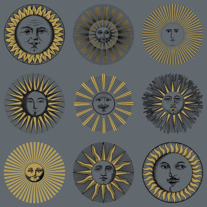 Soli Wallpaper - Midnight & Soft Gold - 123/1004