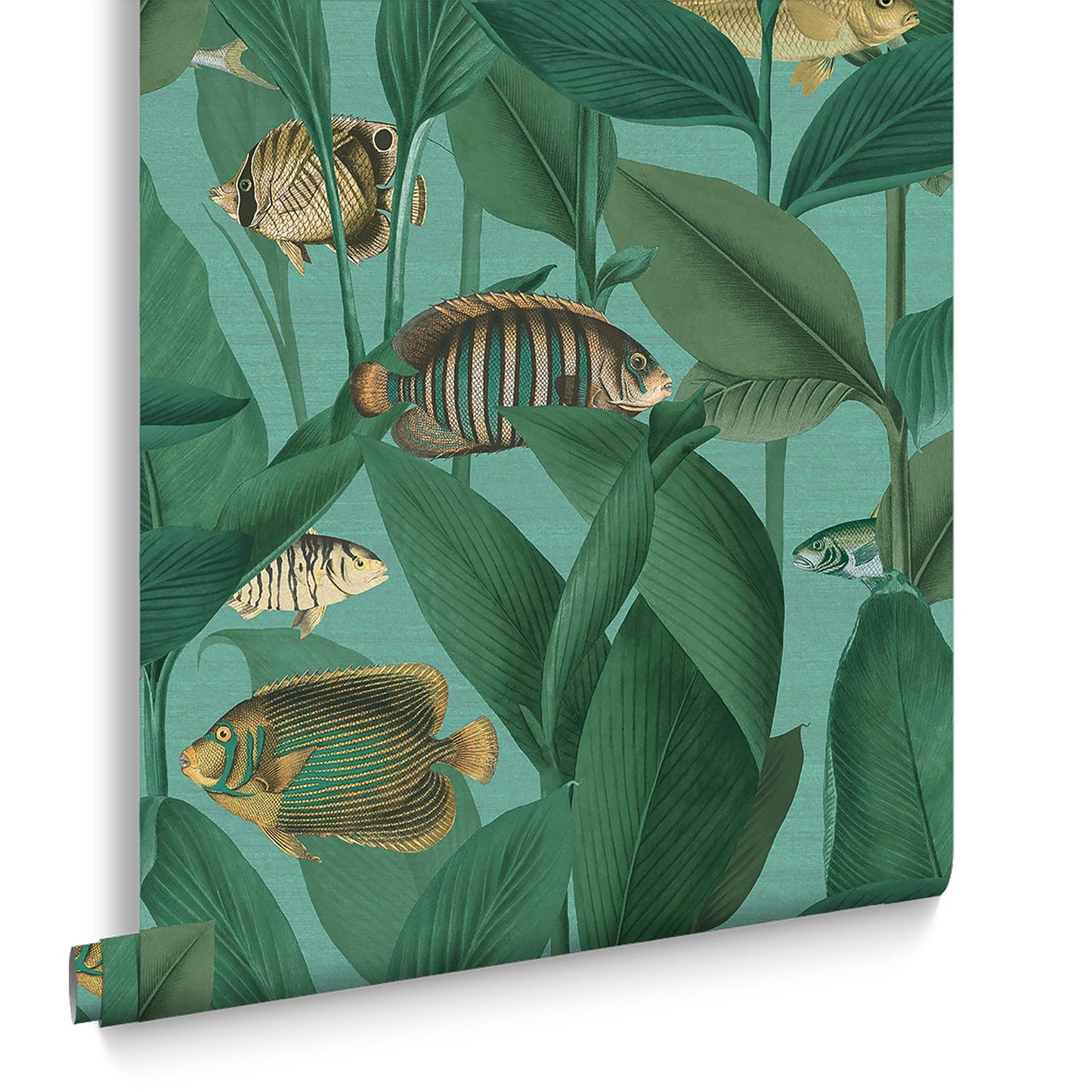 124112 - Aquarium Wallpaper - Aquamarine - Graham & Brown