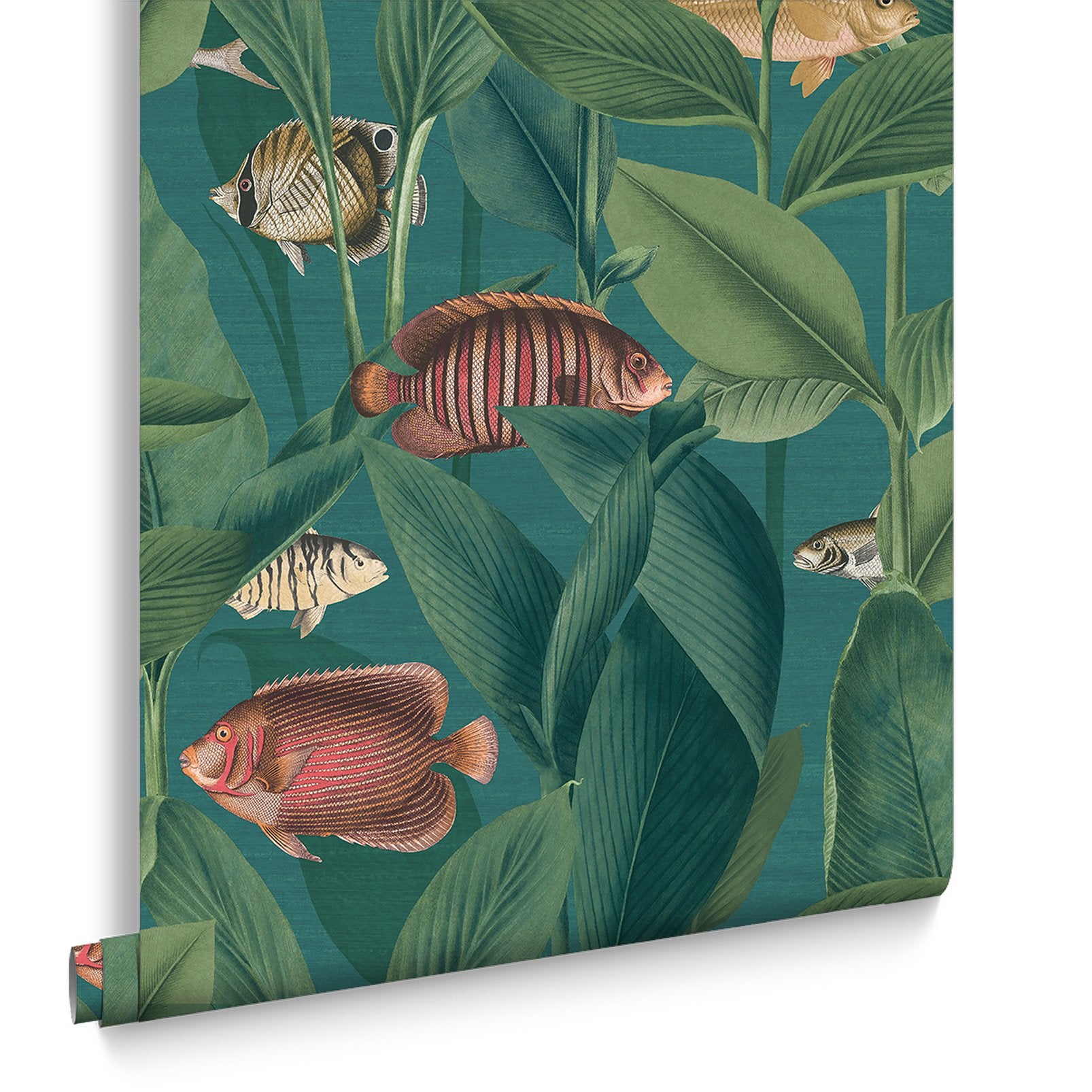 124113 - Aquarium Wallpaper - Teal - Graham & Brown