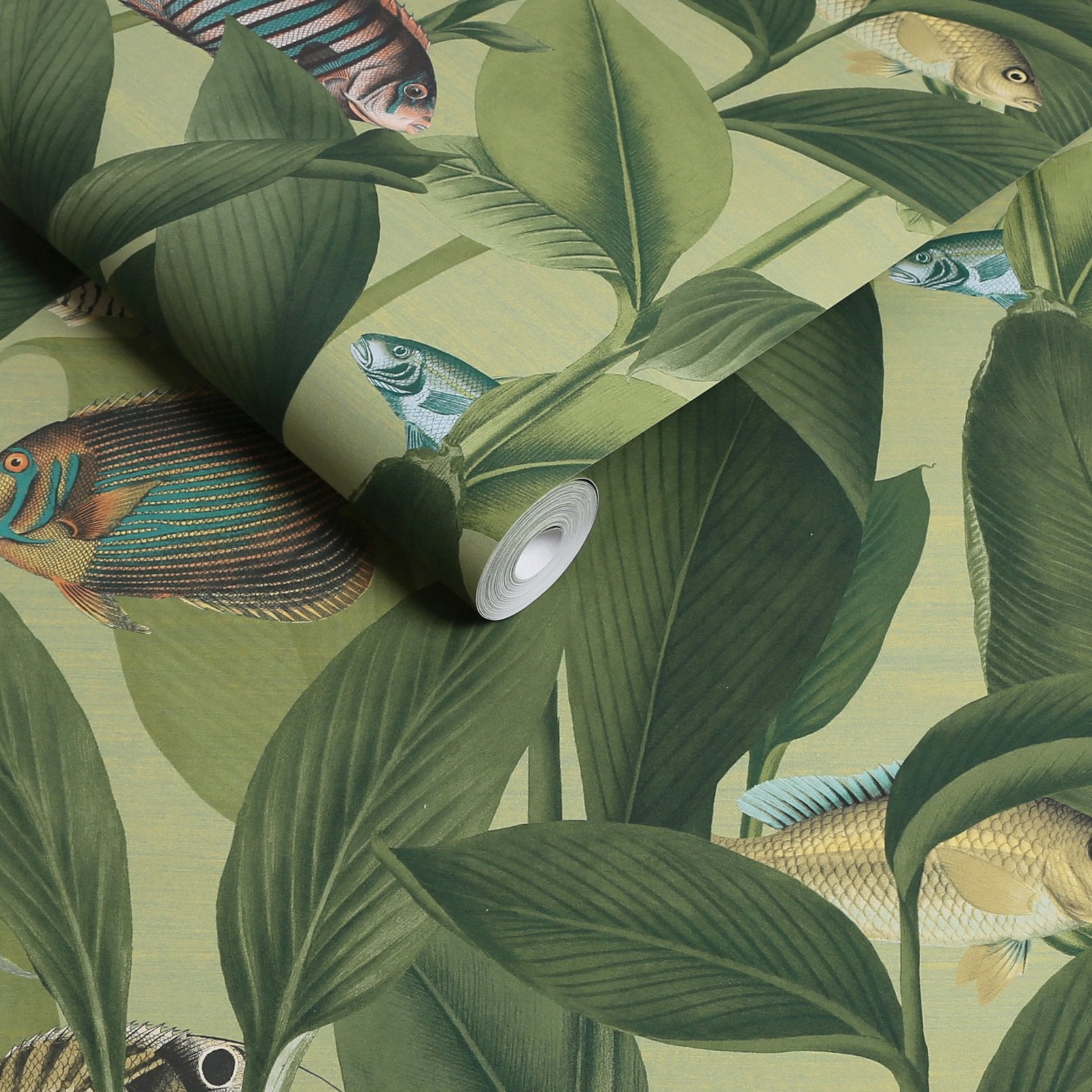 124114 - Aquarium Wallpaper - Green - Graham & Brown