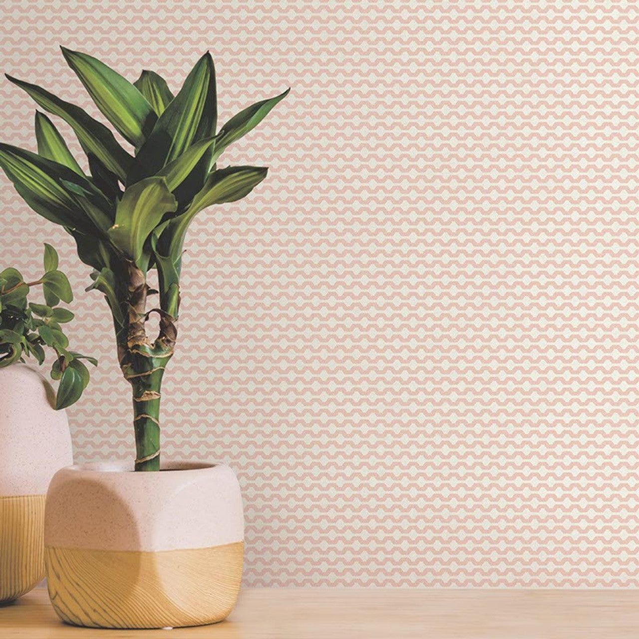 12706 - Mano Fantasia Wallpaper - Pink/Cream - Ted Baker