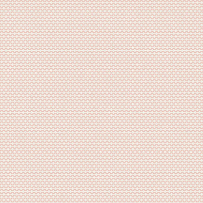 12706 - Mano Fantasia Wallpaper - Pink/Cream - Ted Baker