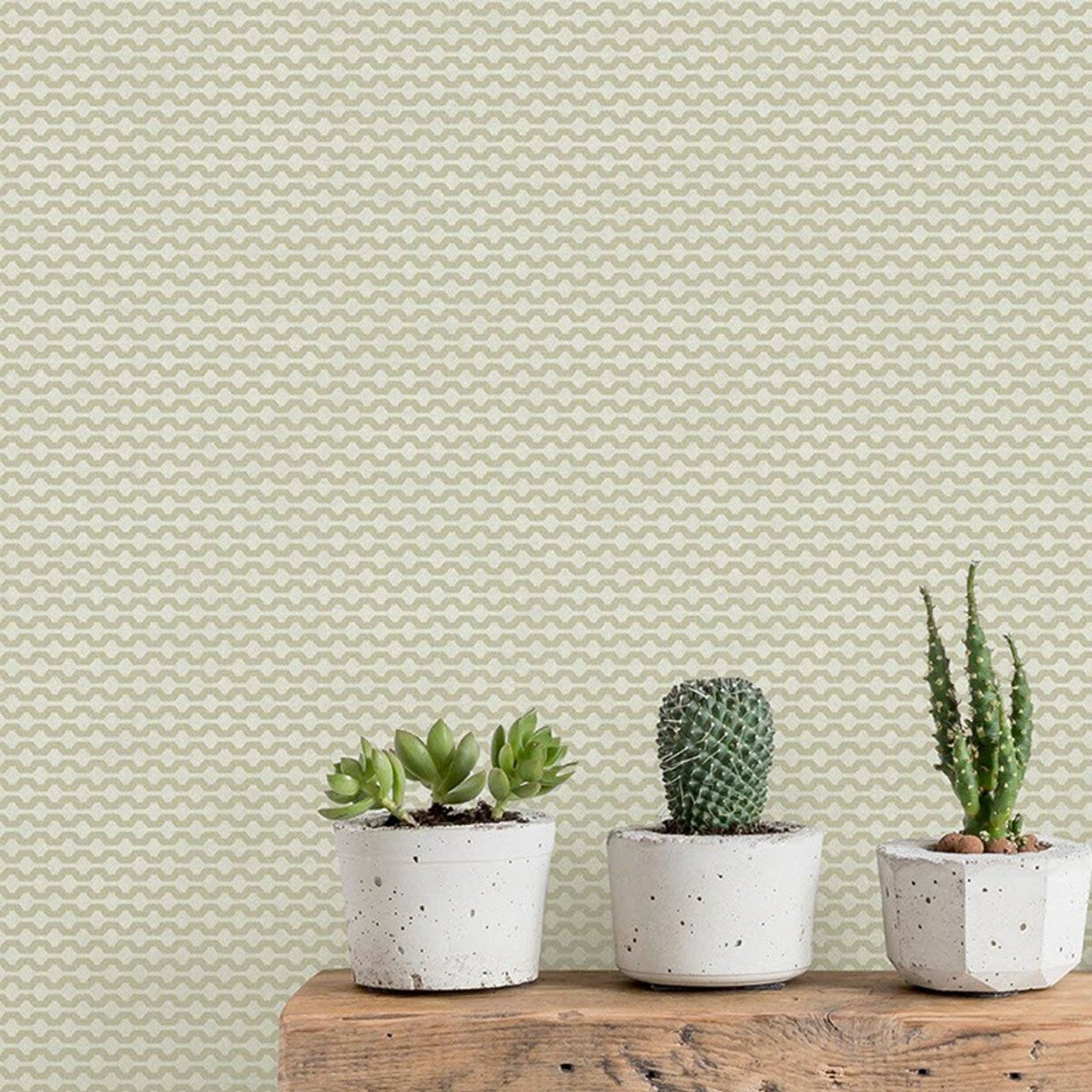 12708 - Mano Fantasia Wallpaper - Green - Ted Baker