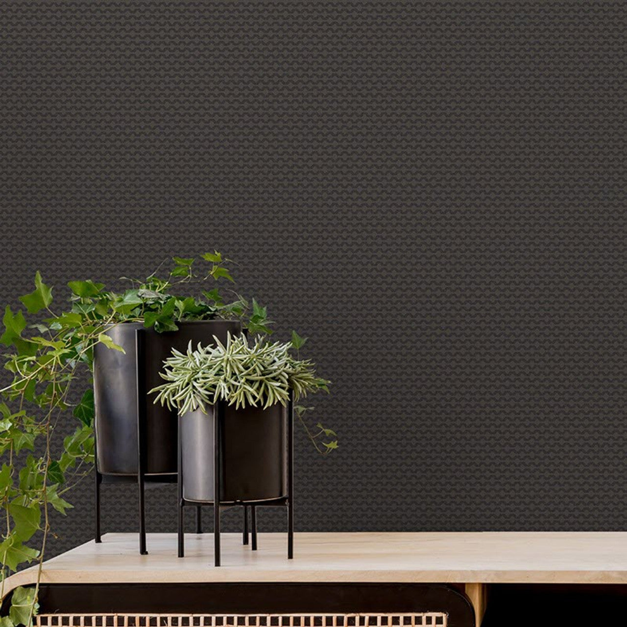 12710 - Mano Fantasia Wallpaper - Black - Ted Baker