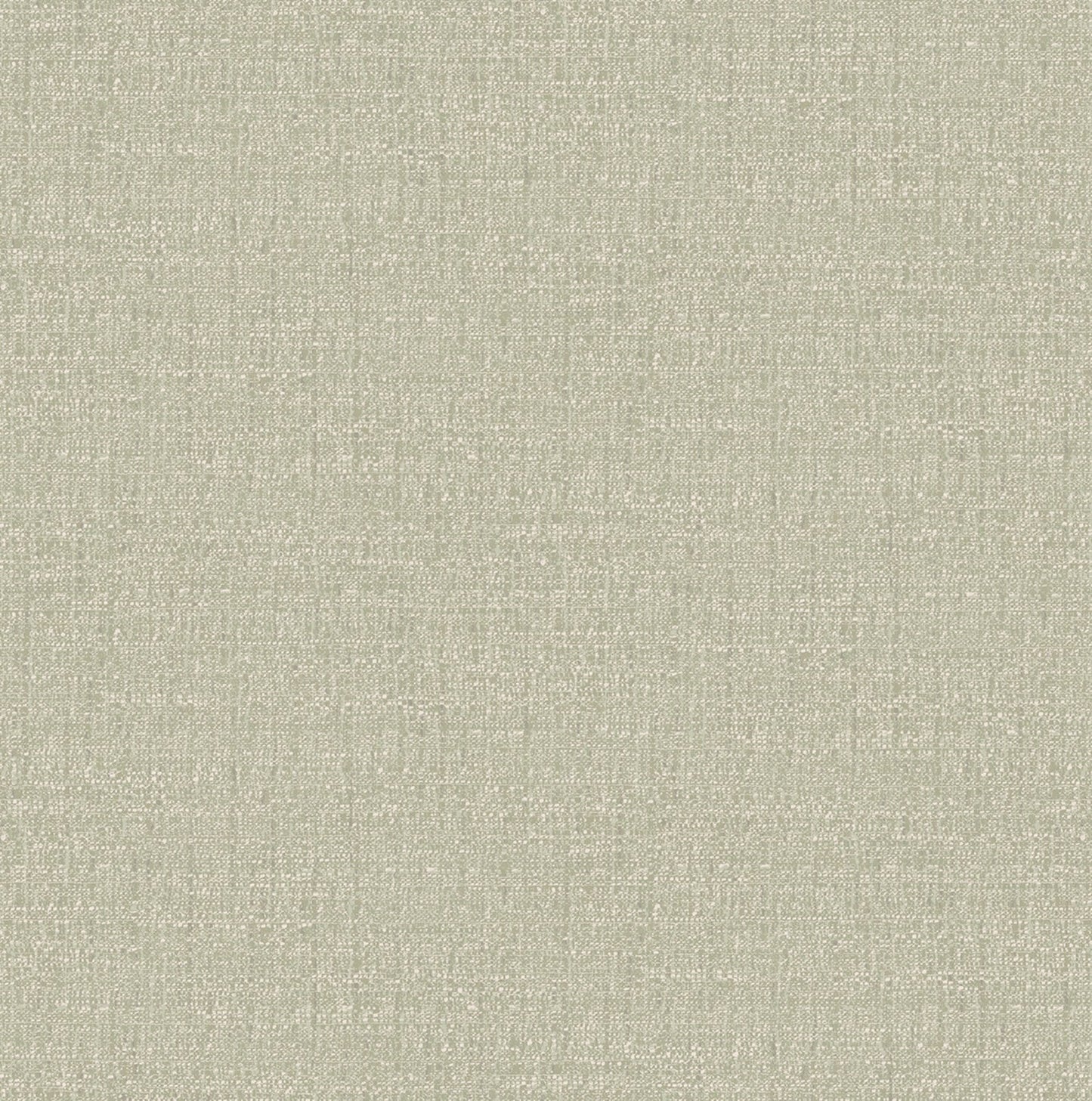 127905 - Albion Texture Wallpaper - Sage - Graham & Brown