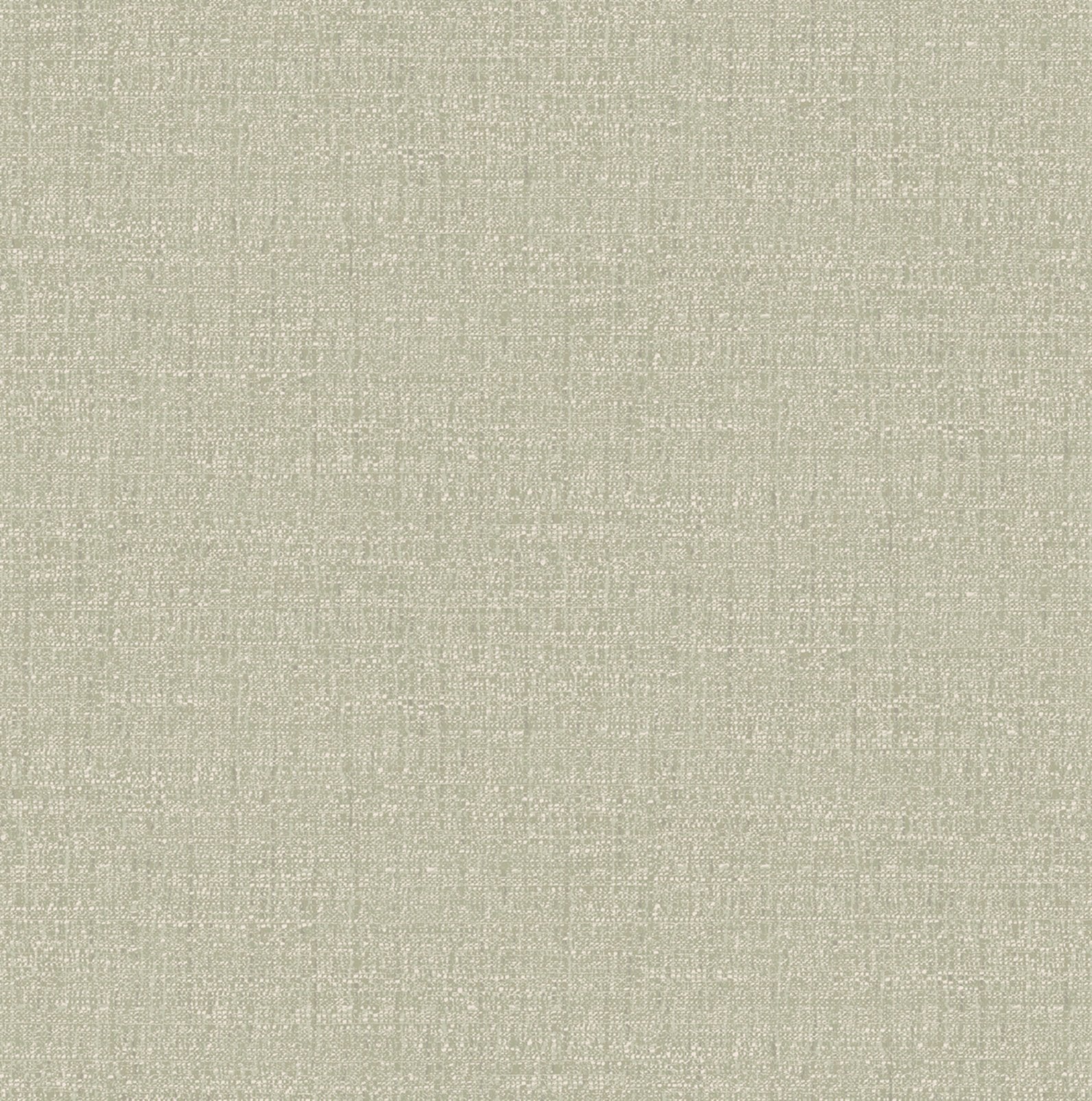 127905 - Albion Texture Wallpaper - Sage - Graham & Brown