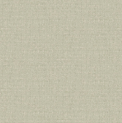 127905 - Albion Texture Wallpaper - Sage - Graham & Brown