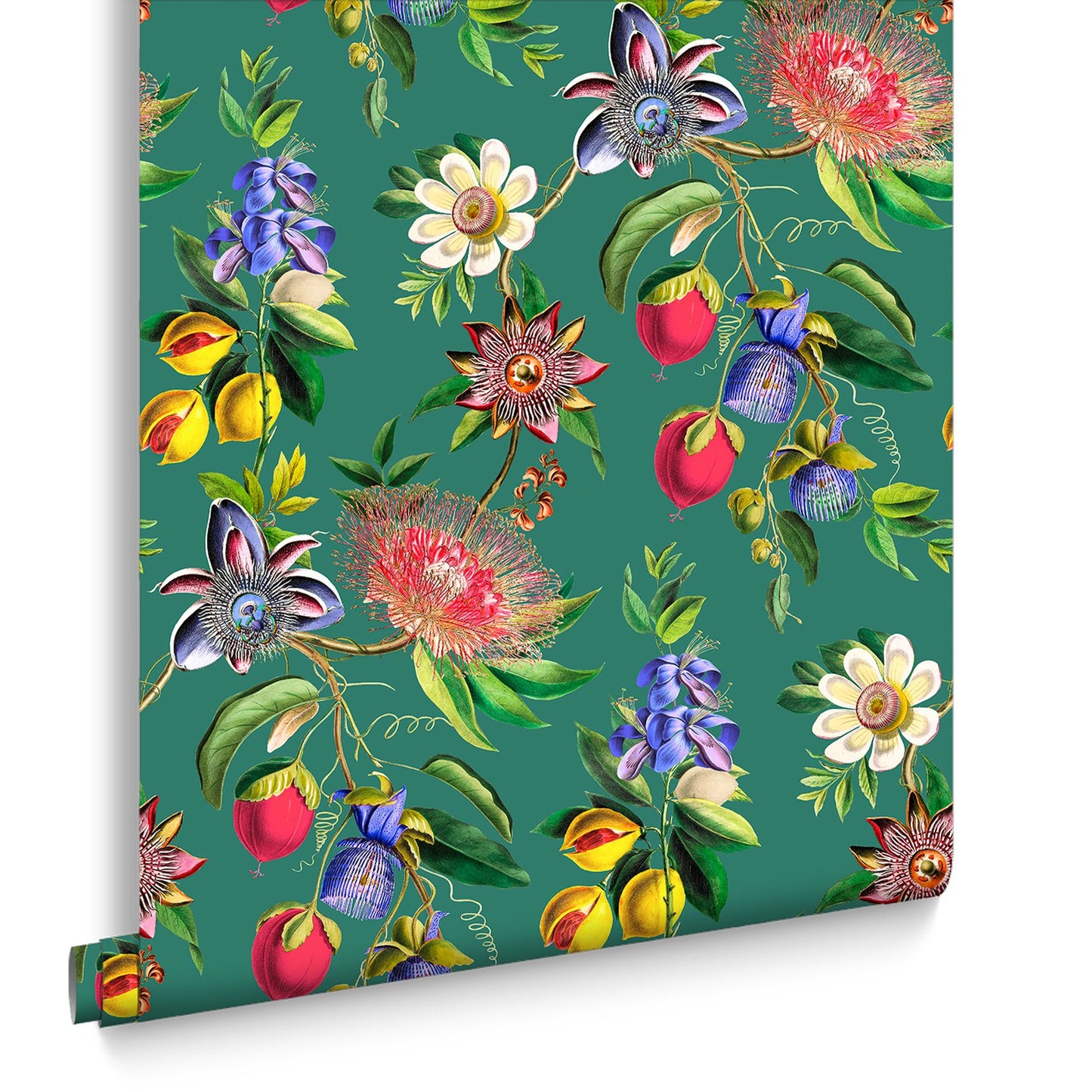 127918 - Physic Garden Wallpaper - Teal - Graham & Brown