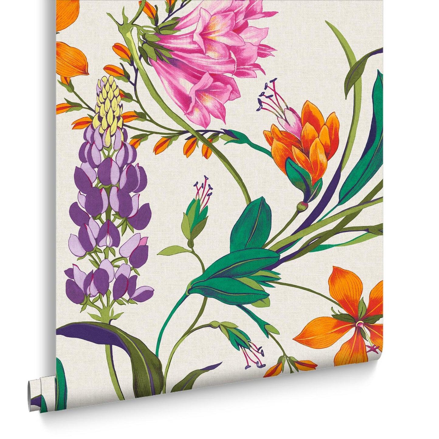 130295 - Botanists Scroll Wallpaper - Vivant - Graham & Brown