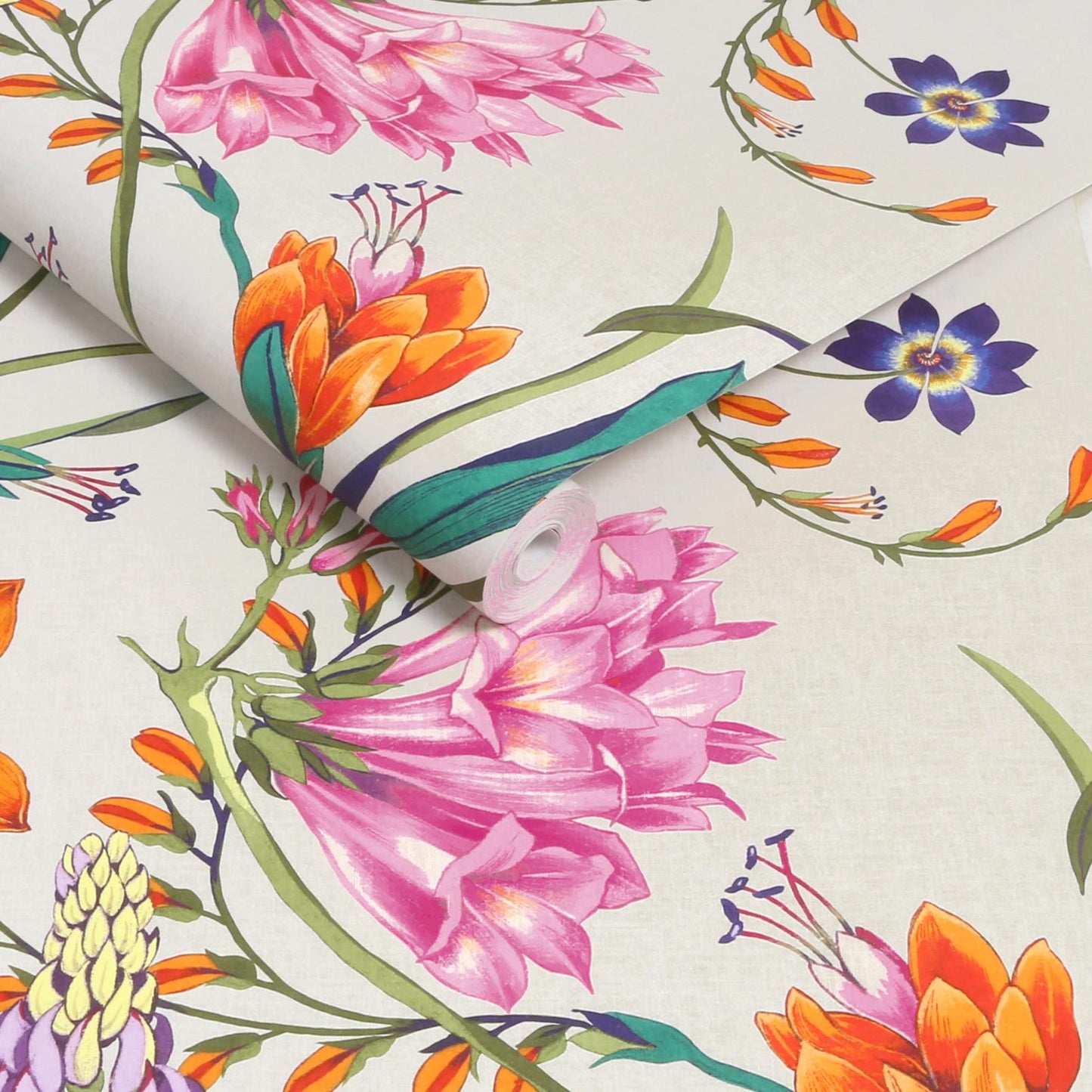 130295 - Botanists Scroll Wallpaper - Vivant - Graham & Brown