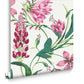 130296 - Botanists Scroll Wallpaper - Pink - Graham & Brown