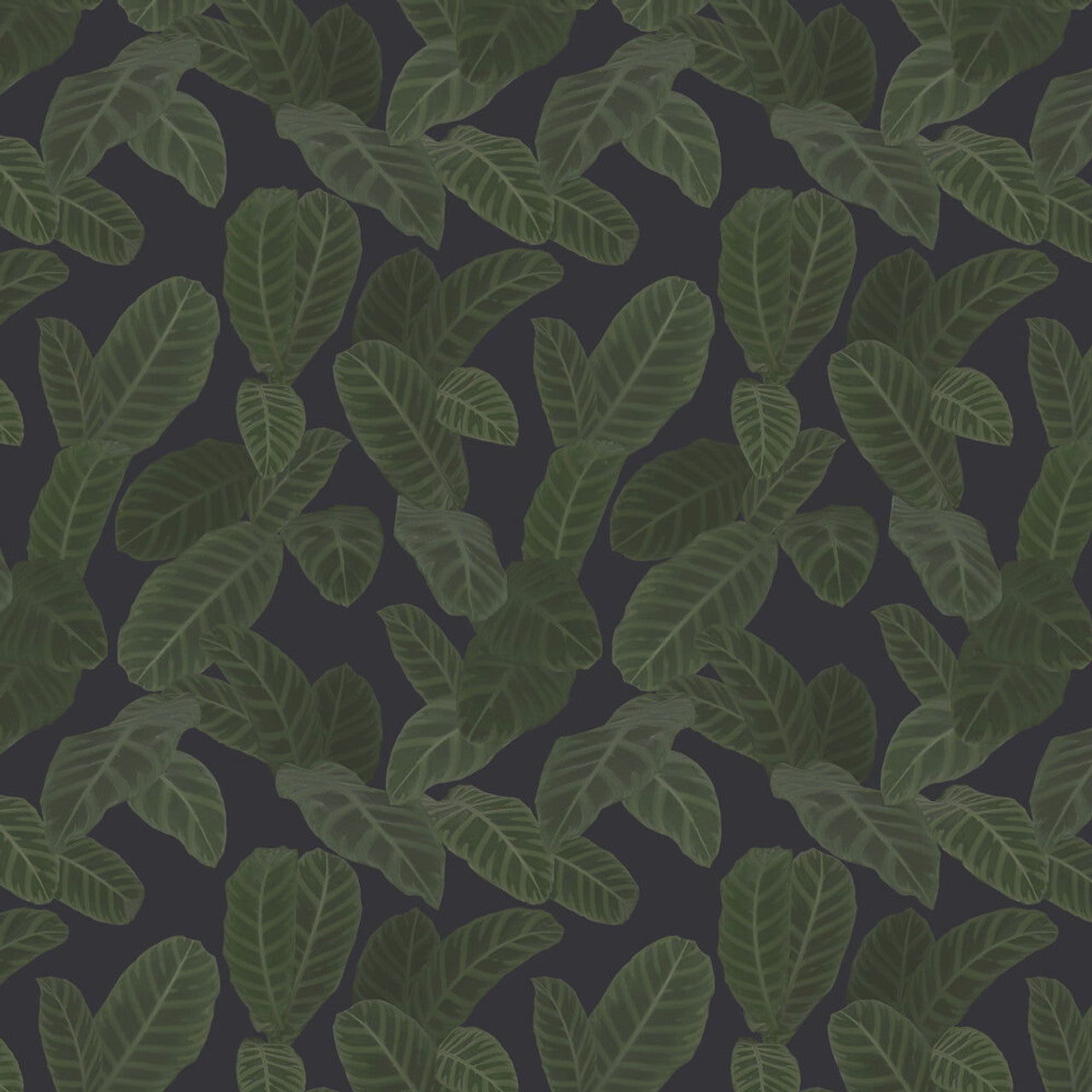13126 - Piner Eden Wallpaper - Charcoal - Ted Baker
