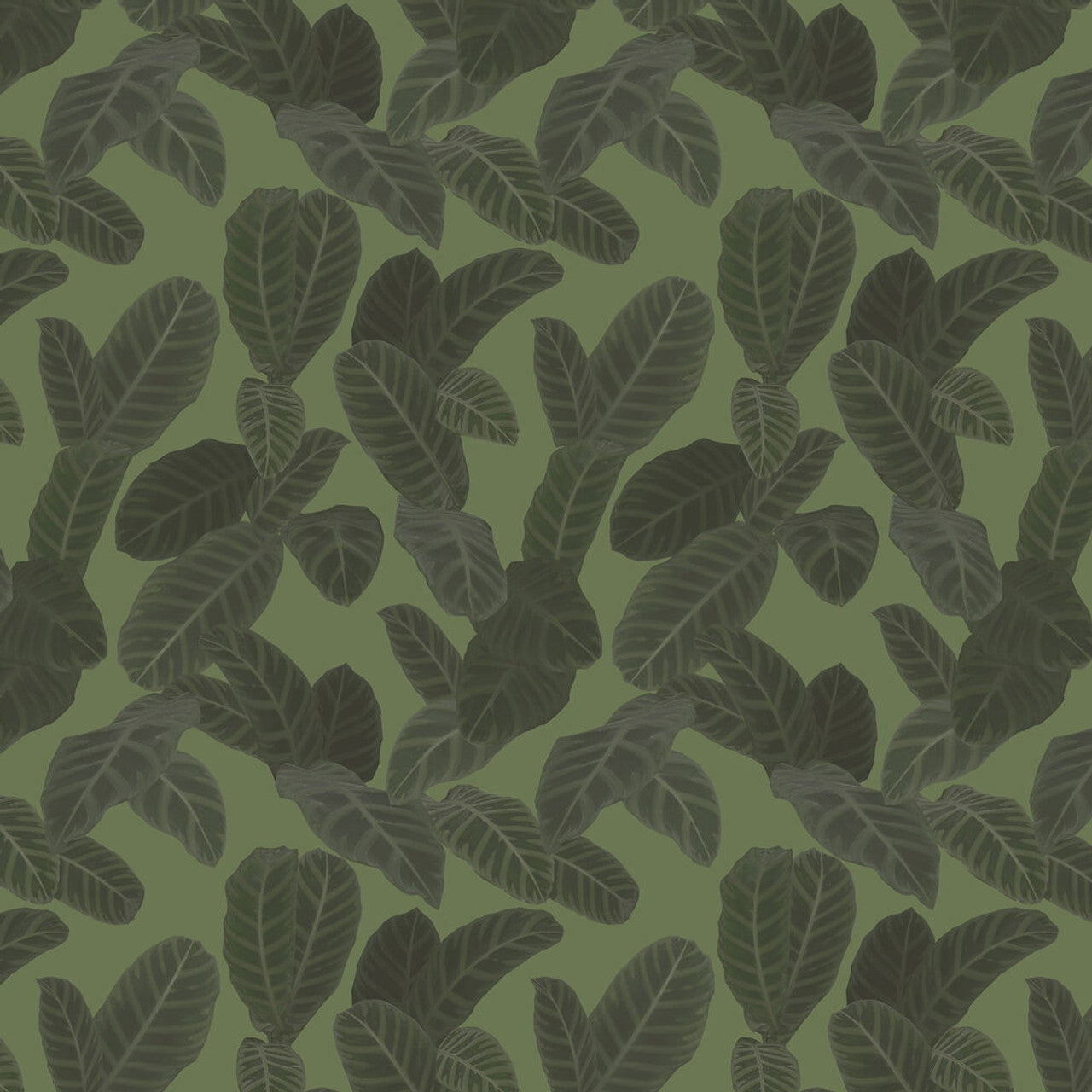 13127 - Piner Eden Wallpaper - Green - Ted Baker