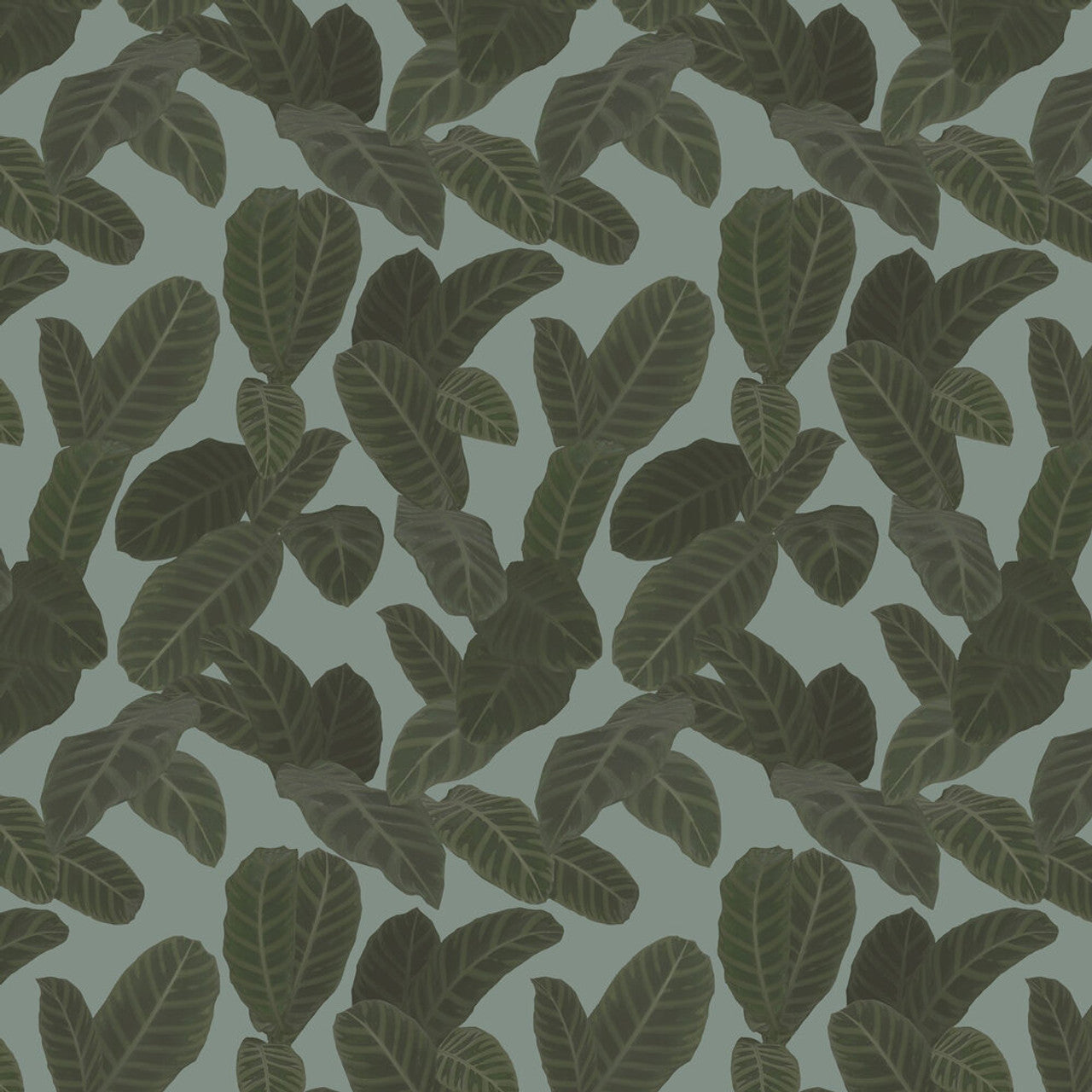 13129 - Piner Eden Wallpaper - Grey - Ted Baker