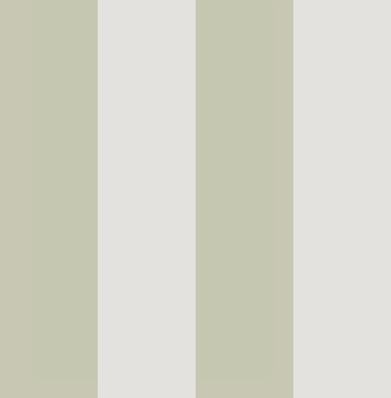 131442 - Quartet Stripe Wallpaper - Sage - Graham & Brown