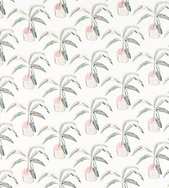 Crassula Fabric - Blush / Brick / Mist
