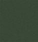 Esala Plains Fabric - Evergreen