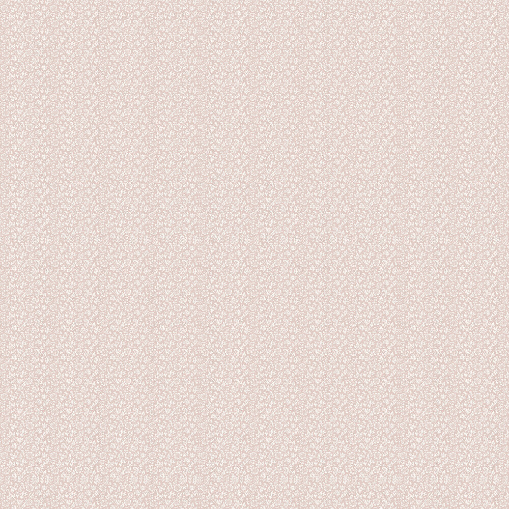 Sweet Alyssum Wallpaper