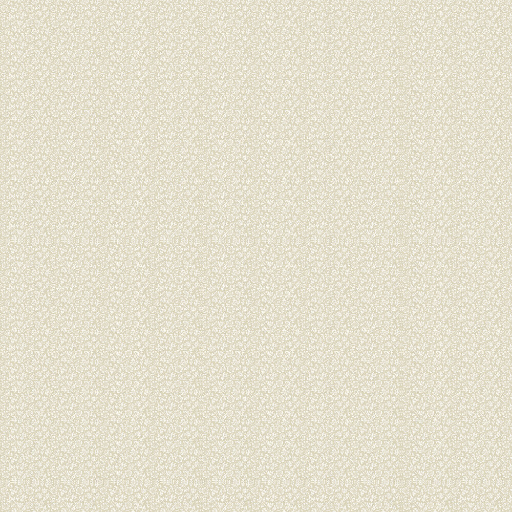 Sweet Alyssum Wallpaper