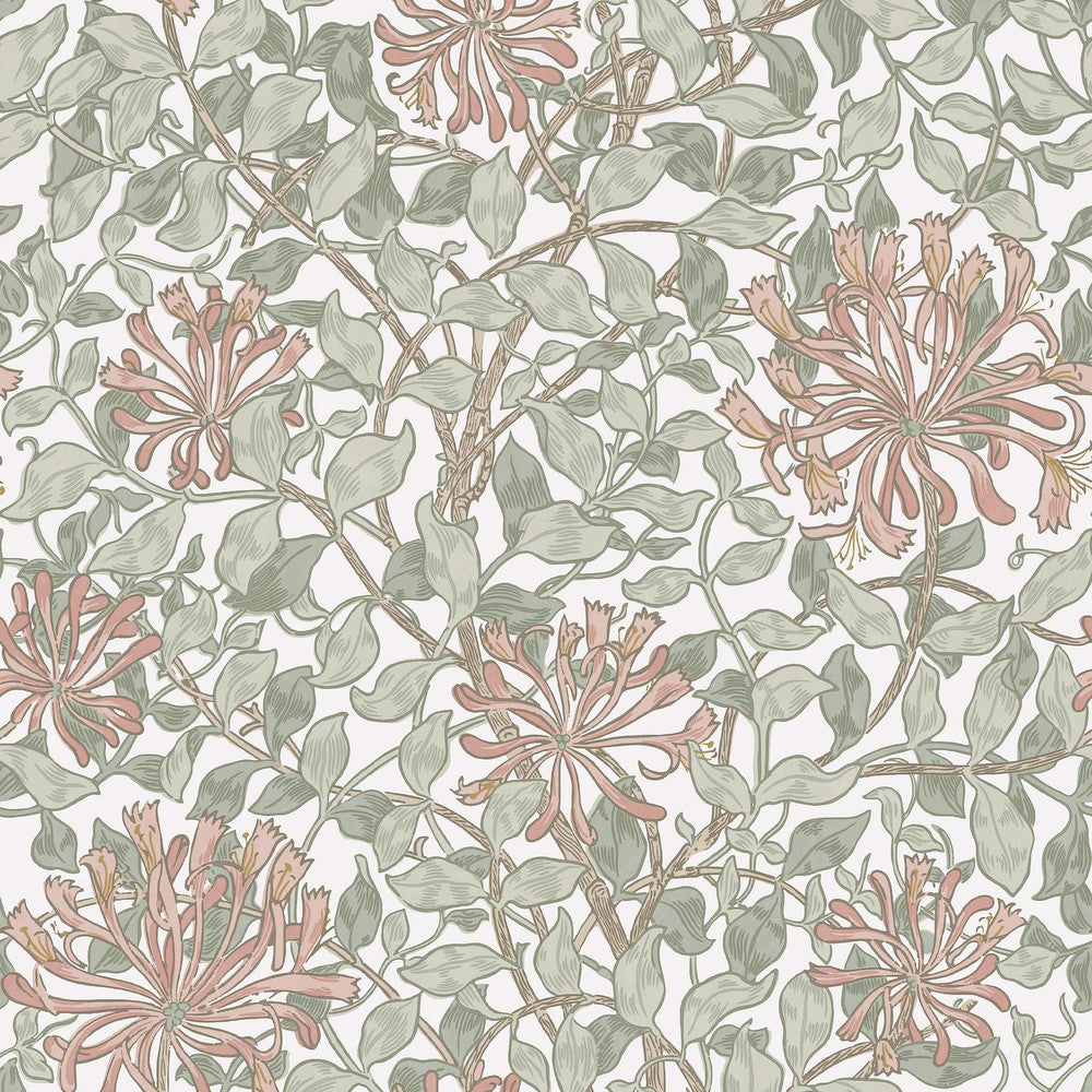 140488 - Honeysuckle Wallpaper - Maytime - William Morris