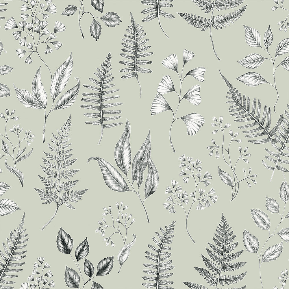 15932 - Betula Wallpaper - Light Green - Midbec