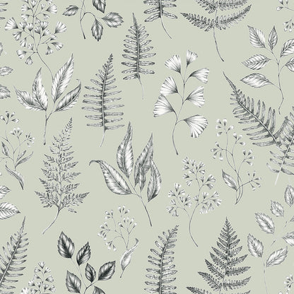 15932 - Betula Wallpaper - Light Green - Midbec