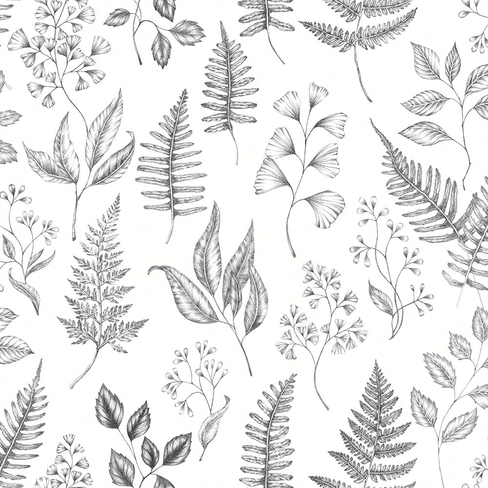 15936 - Betula Wallpaper - Black & White - Midbec