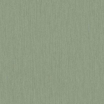 17220 - Oregano Wallpaper - Green - Midbec