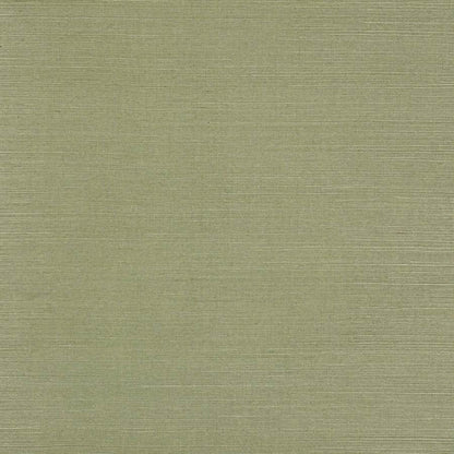 Seagrass Wallpaper - Fern - 20232-32
