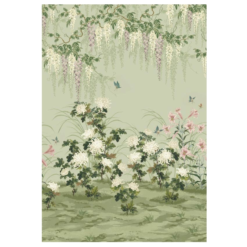 2513-191-03 - Wisteria Bloom Wall Mural - Pistachio - 1838 wallcoverings