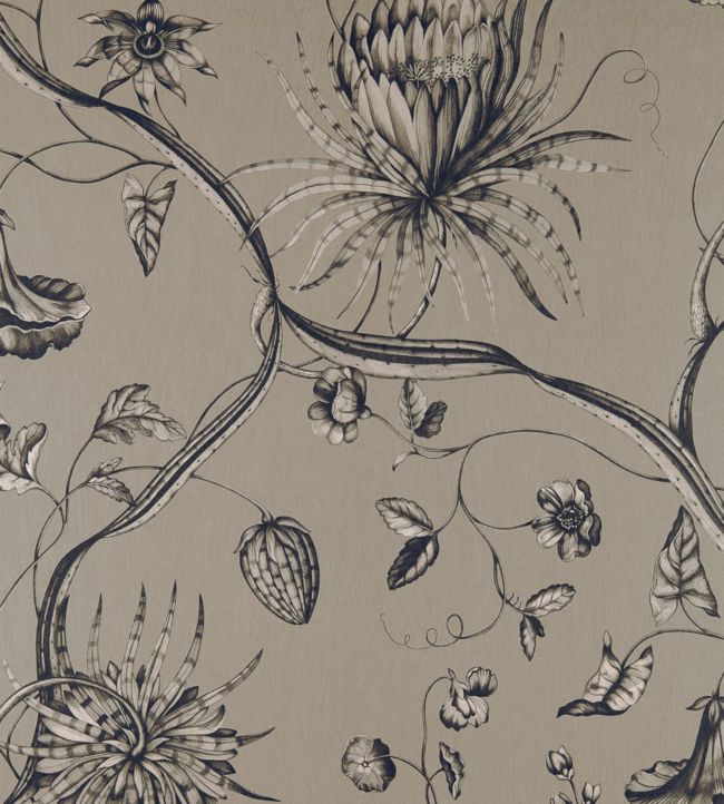 Phaedra Fabric - Gray - Zoffany